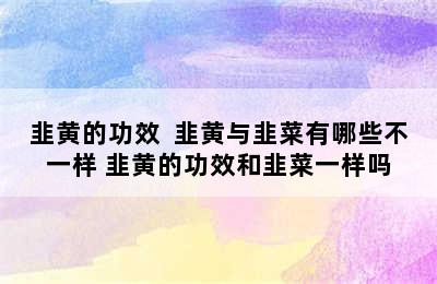 韭黄的功效  韭黄与韭菜有哪些不一样 韭黄的功效和韭菜一样吗